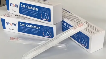 Cathéter pour Chat