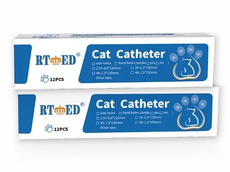 Cathéter pour Chat